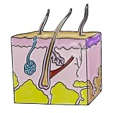 Ficsowy Skin Enamel Pins Anatomy Lapel Pins Fun Cute Skin Care Brooch Pins for Women, Men, Teenagers, Adults, Skin Care Enamel Pins, Gift for Medical Students (Pink)