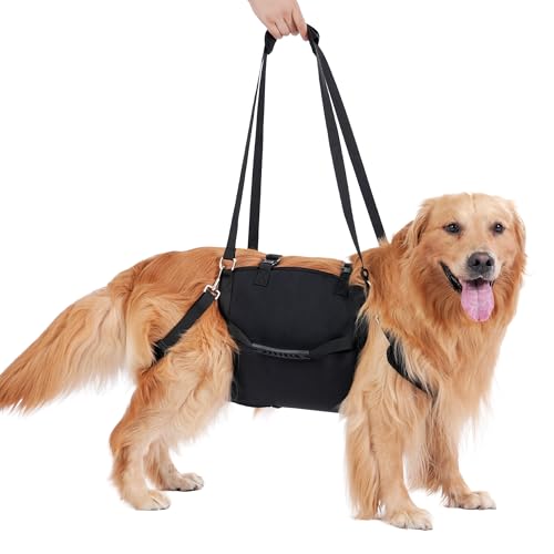 Hundetragetuch & Anschnallgurt Hund Auto,Tragehilfe Hund mit...