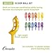 Champion Sports SBS1SET Scoop Ball Set, Plastic, Assorted Colors, 2 Scoops/1 Ball Per Set, 6 Sets