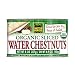 Native Forest Organic Sliced Water Chestnuts, 8 Ounce Cans (Pack of 6)