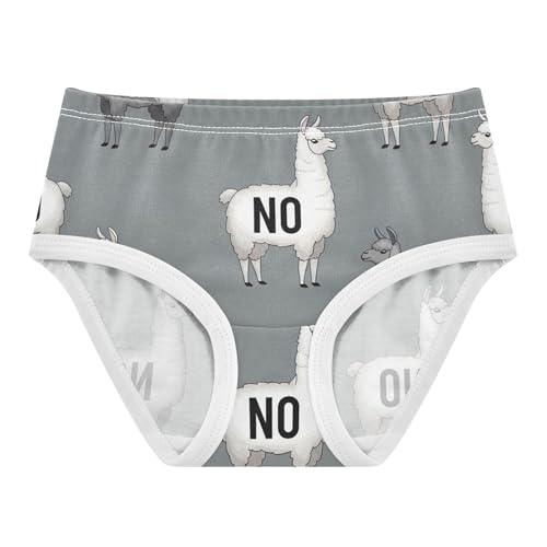 Florals Girls Underwear Toddler 2t Cotton Little Girl Panties Gray White Llamas Briefs Undies Kids
