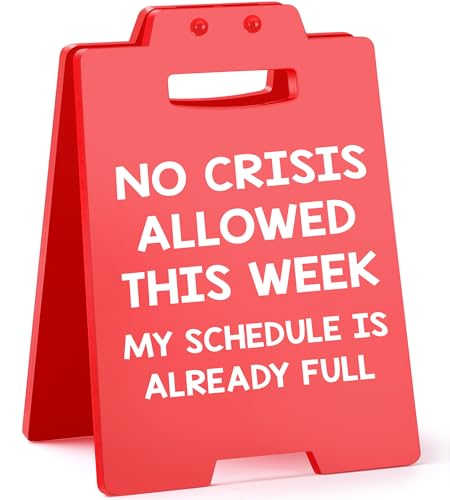 Funny Office Desk Decor Boss Birthday Gifts for Women Men Boss Lady, Administrative Professional Day...