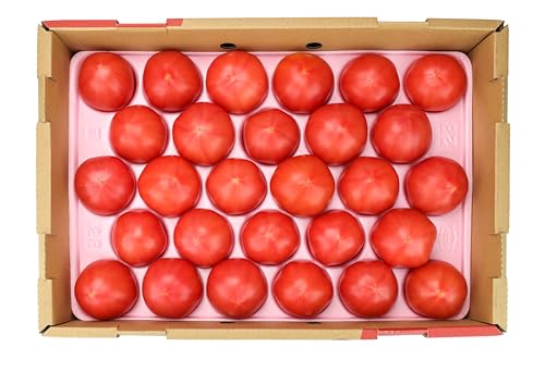 [①] Ɩp Y g}g STCY 1 28