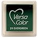 Produktbild Evergreen VersaColor Pigment Inkpad 1" Cube VS-029