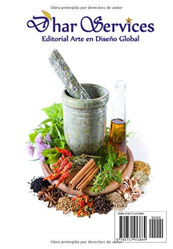 Recetas de Cocina de la tía Concha (Spanish Edition)
