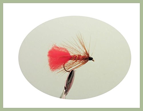 6 Pack of Soldier Palmer Wet Fishing Flies, Choice (8/10)