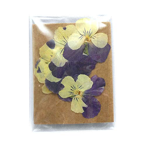 レジン クラフト 押し花 その他の手芸用品 クラフトの人気商品 通販 価格比較 価格 Com