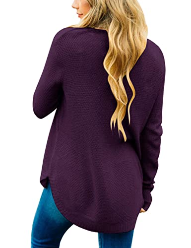 LEANI Women’s 2025 Long Sleeve Crew Neck Pullover Sweater Loose Casual Soft Knit Jumper Tops4