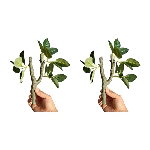 Pack of 2 Realistic Climbing Vine for Reptiles Terrariums Enhancing Natural Behavior Secure Supports Reptiles Decoration