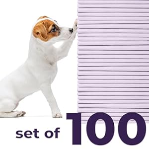   GREEN-LIFESTYLE-Pee-Pads-Super-Absorbent-Leak-Proof-Pee-Pads-for-Dogs-Puppy-Pads-Waterproof-Dog-Pads-Lavender-Scented-Dog-Training-Pads-for-Cats-Rabbits-Pack-of-100-22x22