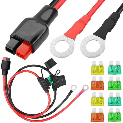 Câble solaire 45 A cosse ronde 10 AWG avec connecteur rapide et double porte-fusible ATC 60cm