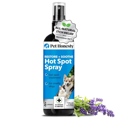 Picture of Best Dog Shampoo for Flaky Skin: A Quick Guide