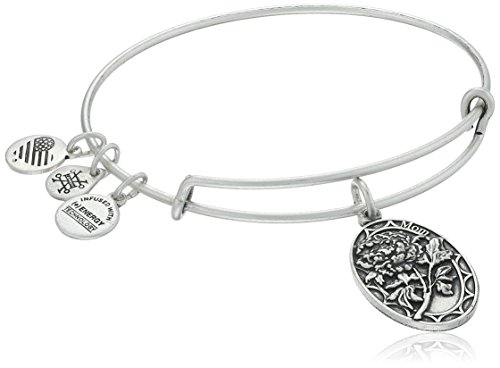 Alex and Ani Because I love you, Mom II Expandable Rafaelian Silver-Tone Bracelet