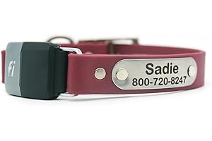 dogIDs Waterproof and Odor Resistant Dog Collar Compatible with Fi Series 2 GPS Tracker