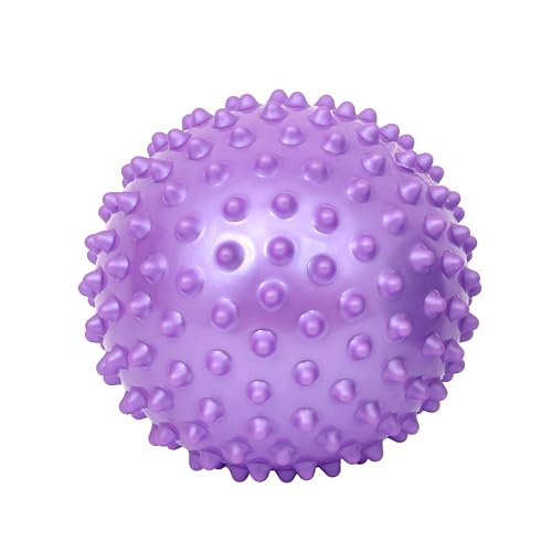 Fun and Function – Spiky Tactile Balls – Bumpy, Textured, Tactile Sensory Balls for Kids Ages 3+ – 8 Inch – Purple