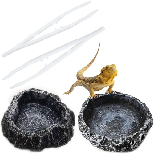 爬虫類 水入れ 餌入れ エサ皿 水飲み皿 自然の岩イメージ ひっくり返しにくい 爬虫類 水皿 ペット 給餌板 爬虫類専用 フィーディングディッシュ 陸亀 リクガメ カナヘビ カエル トカゲ 亀 ゲトカゲ ヤドカリ ペット 飼育 セット 綺麗で安定 使い易い (皿2個入+ピンセット2本)