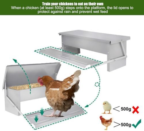 Automatic Chicken Feeder - Rat-Proof Poultry Feeder with Weatherproof Lid for 4-6 Chickens, Rooster, Pheasant & Duck - Ideal for Outdoor Henhouse & Backyard Farming