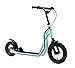STAR SCOOTER Patinete Infantil 2 Ruedas a Partir de 6-7 años | Kick Scooter 10/12" neumáticos, Ajustable en Altura para niñas y niños | Menta