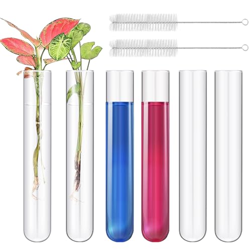 Tubes à essai 30x200 mm en verre borosilicate transparent 100 ml pour bouture et labo