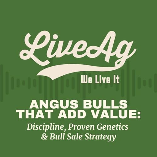Angus Bulls That Add Value: Discipline, Proven Genetics & Bull Sale Strategy