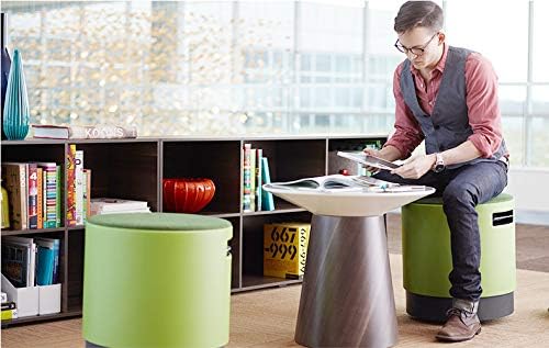 Turnstone Buoy | Steelcase Store ターンストーン ブイ グレー