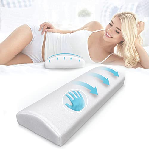 Top 10 Best Lumbar Pillow For Sleeping Reviews & Buying Guide Katynel