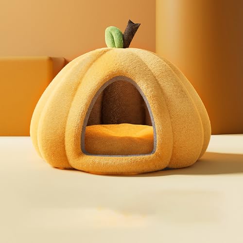 [ADSNS] M ybgpxbh h[^ g _炩 ӂӂ  L 􂦂 ybgxbh J[1 L xbh ybgNbV ӂӂ  Q p΍ ʔNp h[^ g ӂӂ ΍ xe