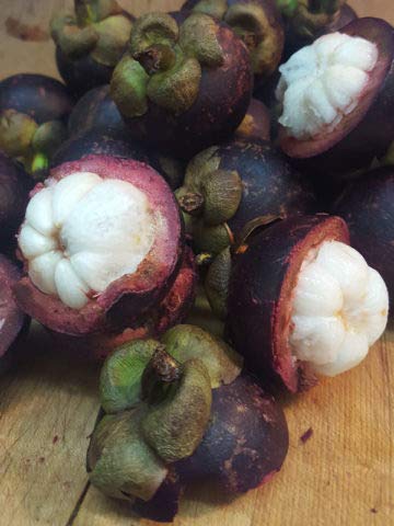 Generic 50 PC Delicious Mangosteen Seeds Nutritious Queen of l Fruits Perennial Flores Tree Organic Bonsai For Home Garden: 5: Only Seeds