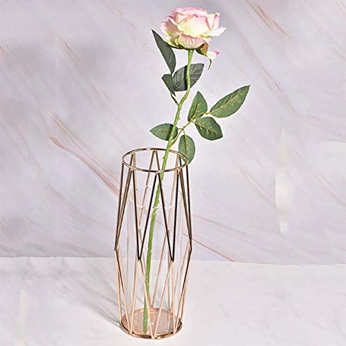 DEDC 1 pz Vaso da Fiori in Vetro con Supporto in Metallo Colore Oro...