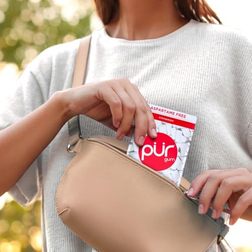 Image of PUR Gum | Aspartame Free Chewing Gum | 100% Xylitol | Natural Cinnamon Flavored Gum, 55 Pieces (Pack of 6)
