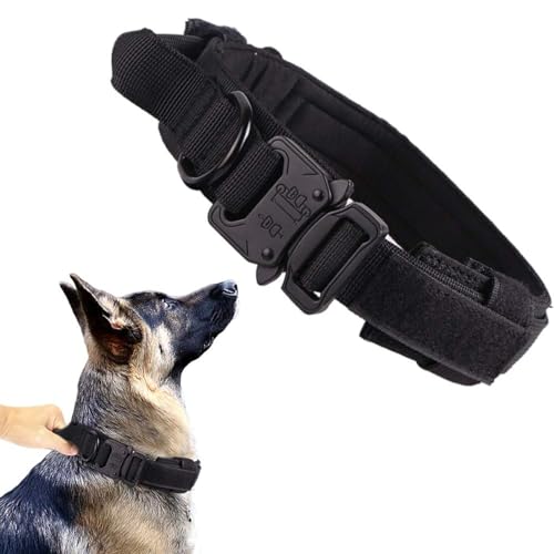 Beste Trainingshalsband Hond 2023: Onze Top 10 Trainingshalsband Honden