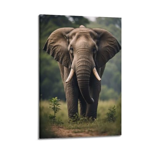 Poster sur toile elephant de jungle QXYUIN tableau decoration murale haut de gamme pour chambre