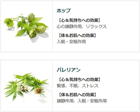 【クナイプ公式】 バスソルト グーテナハト ホップ&バレリアンの香り 850g リラックス