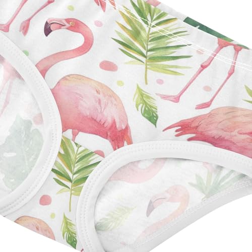 GuoChe Triangle Panties Underwear Moisture Wicking Organic Underpants for Toddler in Sizes 2T,3T, 4T, 5T, 6Y and 8Y4