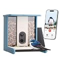 TT Nature Recycled Plastic Smart Bird Feeder with Camera, Solar Powered, AI Identifies 10,000+ Birds Species, Auto Capture 2K Videos & Instant Alerts, Ideal Gift for Family and Lover