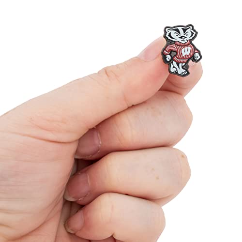 Desert Cactus University of Wisconsin Lapel Pins Badgers UW Madison University Logo Enamel Made of Metal4