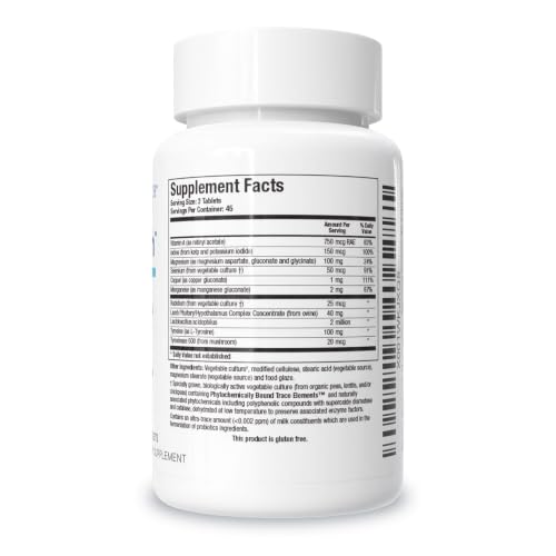 View 4