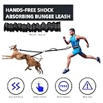 Hands Free Double Dog Leash with Pouch, Dual Leash for 2 Dogs with Reflective Padded Handles, Durable Bungee and Lumbar Waist Belt for Walking, Jogging and Running (Medium/Large, 25-120 lbs) - Image 2