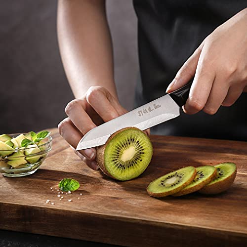 4Pcs Paring Knife - 4/4.5 Inch Fruit And Vegetable Paring Knives - Ultra Sharp Kitchen Knife - Peeling Knives - German Stainless Steel-Abs Handle #TOP4