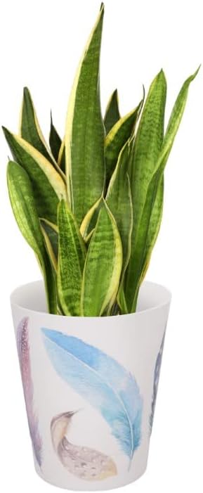 Home Garden Ornaments Indoor Plant Pot, Decorative Flower Pots with Inner Cone - Image 4