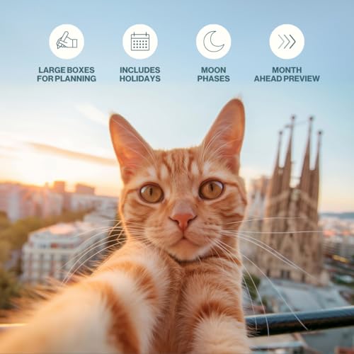 Cat Selfies Cat Calendar 2026, Funny Cat Wall Calendar 2026. Large 12 Month, Month to View with Notes & Checklist Pages, UK Made by Our World - Image 2