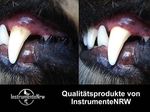 Hunde Mundspiegel mit Vergrößerung Zahnsteinentferner Zahnspiegel für Haustiere Zahnpflege aus Edelstahl Zahnreinigung Zahnpflege. Auch für Katzen Silber – Bild 6