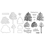 Verwenden Sie die Form, um aus Ihrem Lieblingspapier unglaubliche Formen zu erstellen.