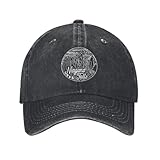 Niagara Falls Fashion Hats for Mens Hiking Vintage Caps Black