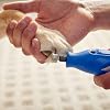 Dremel 416HP Diamond-Coated Rotary Nail Grinder Bit - Ideal for Dog Nail Grooming, Gentle with Precise Control