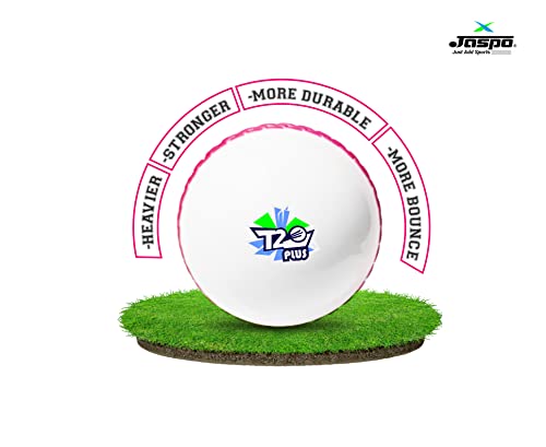 jaspo Synthetic Rubber T-20 Plus Practice Cricket Ball Wind Balls 125-130 GMS for - Indoor Outdoor Street Beach Cricket White - Thumbnail 2