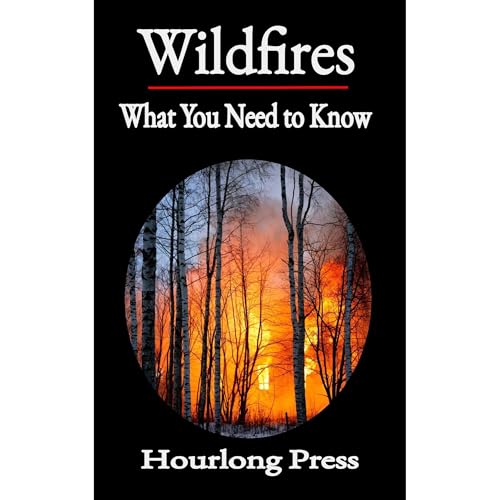 Wildfires: What You Need to Know (By Hourlong Press) episode artwork