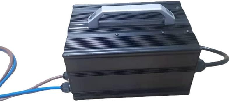 Cargador de 12 V, 100 A, 24 V, 60 A, 29,4 V, 60 A, 14,6 V, 60 A, 12,6 V, 16,8 V, 100 A, para batería de iones de litio lifepo4 li ion LTO (color 24V