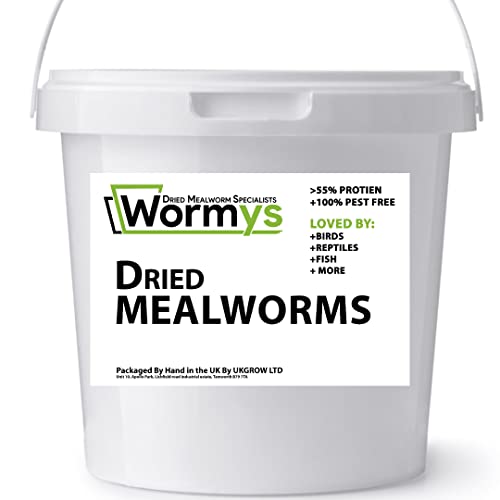 HAND SELECTED Premium Dried Mealworm Buckets (1L Bucket) – Wildlife News Shop - Vimarsana News