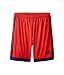 adidas Performance Boys Tastigo Shorts, Vivid Red/Navy, Medium